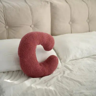 Letter Luxe Sofa Pillows